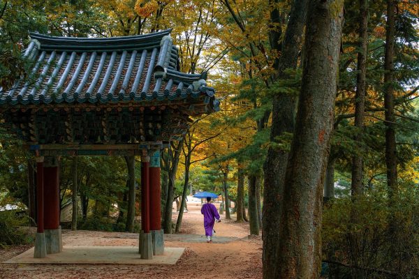 Wonju - Dél-Korea rejtett gyöngyszeme